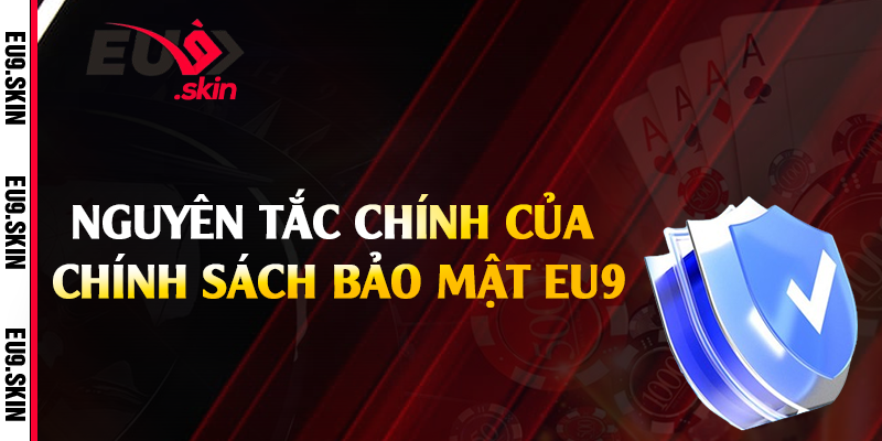 Nguyên tắc chính của chính sách bảo mật EU9